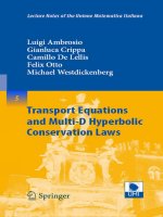 Tài liệu Transport Equations and Multi-D Hyperbolic Conservation Laws pdf