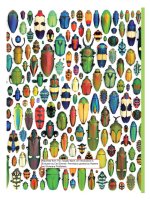 Tài liệu Radiations & Extinctions: Biodiversity Through the Ages docx