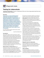 Tài liệu Testing for tuberculosis pptx