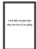 cach dieu tri benh nam thuy mi tren co loc giong