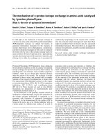 Tài liệu Báo cáo khoa học: The mechanism of a-proton isotope exchange in amino acids catalysed by tyrosine phenol-lyase doc
