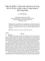 Mức độ nhiễm vi nấm sinh ochratoxin a trong đất và rễ cây cà phê ở một số vùng trồng cà phê trọng điểm