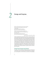 Tài liệu Plant physiology - Chapter 2 Energy and Enzymes docx