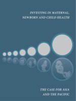 Tài liệu INVESTING IN MATERNAL, NEWBORN AND CHILD HEALTH ppt