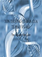 Tài liệu TỔN THƯƠNG CƠ BẢN CỦA TẾ BÀO VÀ MÔ potx