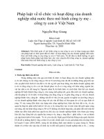 Pháp luật về tổ chức và hoạt động của doanh nghiệp nhà nước theo mô hình công ty mẹ   công ty con ở việt nam