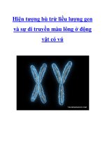 Tài liệu Hiện tượng bù trừ liều lượng gen và sự di truyền màu lông ở động vật có vú pptx