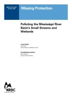 Tài liệu Missing Protection: Polluting the Mississippi River Basin’s Small Streams and Wetlands doc