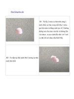 Tài liệu Hoa hồng đua sắc pdf