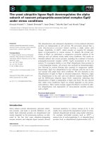 Tài liệu Báo cáo khoa học: The yeast ubiquitin ligase Rsp5 downregulates the alpha subunit of nascent polypeptide-associated complex Egd2 under stress conditions docx