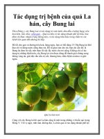 Tài liệu Tác dụng trị bệnh của quả La hán, cây Bung lai doc