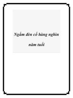 Tài liệu Ngắm đèn cổ hàng nghìn năm tuổi pdf