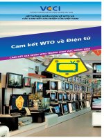 Tài liệu Cam kết WTO về điện tử pptx