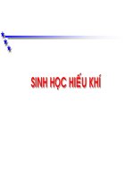 Tài liệu Sinh học hiếu khí pot