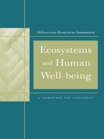Tài liệu Ecosystems and Human Well-being pdf