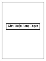 Tài liệu Giới Thiệu Rong Thạch doc