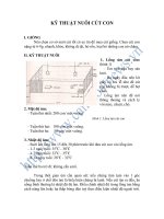 Tài liệu KỸ THUẬT NUÔI CÚT CON pptx