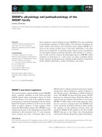 Tài liệu Báo cáo khoa học: SREBPs: physiology and pathophysiology of the SREBP family ppt