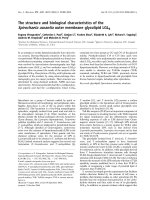 Tài liệu Báo cáo khoa học: The structure and biological characteristics of the Spirochaeta aurantia outer membrane glycolipid LGLB pdf