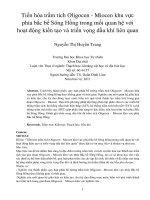 Tiến hóa trầm tích oligocen   miocen khu vực phía bắc bể sông hồng trong mối quan hệ với hoạt động kiến tạo và triển vọng dầu khí liên quan