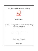 Giải pháp đẩy mạnh hoạt động kinh doanh tại công ty TNHH VKX