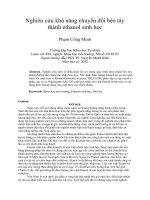 Nghiên cứu khả năng chuyển đổi bèo tây thành ethanol sinh học