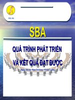 Tài liệu SBA Quá trình phát triển và kết quả đạt được ppt