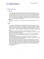 Tài liệu Quản Lý Kho Của Cửa Hàng Lốp Xe doc