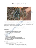 Tài liệu Phòng và trị bệnh cho tôm sú ppt