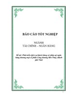 Phát triển dịch vụ khách hàng cá nhân tại ngân hàng thương mại cổ phần Công thương Bến Thuỷ, thành phố Vinh