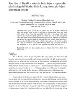 Tạo bào tử bacillus subtilis biểu hiện streptavidin gắn kháng thể biotinyl hóa kháng virus gây bệnh đốm trắng ở tôm