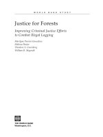 Tài liệu Justice for Forests Improving Criminal Justice Efforts to Combat Illegal Logging pptx