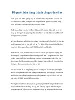 Tài liệu Bí quyết bán hàng thành công trên eBay pptx