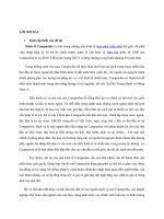 Dịch vụ của campuchia và khả năng hợp tác với việt nam