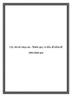 Tài liệu Cây chó đẻ răng cưa - Thuốc quý, rẻ tiền, dễ kiếm để chữa bệnh gan pptx