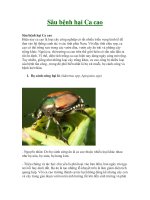 Tài liệu Sâu bệnh hại Ca cao pdf