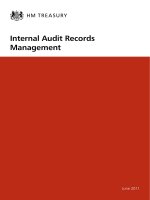 Tài liệu HM TREASURY: Internal Audit Records Management pdf