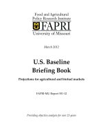 Tài liệu U.S. Baseline Briefing Book Projections for agricultural and biofuel markets ppt