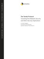 Tài liệu The Teredo Protocol: Tunneling Past Network Security and Other Security Implications pptx
