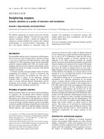 Tài liệu Báo cáo khoa học: Deciphering enzymes Genetic selection as a probe of structure and mechanism docx