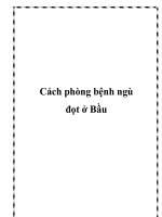 Tài liệu Cách phòng bệnh ngù đọt ở Bầu docx