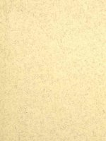 Tài liệu Studies in ornamental trees and shrubs docx