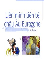 tiểu luận liên minh tiền tệ châu âu eurozone
