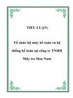 Tổ chức bộ máy kế toán và hệ thống kế toán tại công ty TNHH Mây tre Hoa Nam.