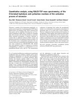 Tài liệu Báo cáo khóa học: Quantitative analysis, using MALDI-TOF mass spectrometry, of the N-terminal hydrolysis and cyclization reactions of the activation 2 process of onconase pdf