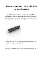 Tài liệu Làm sao để thêm www (World Wide Web) vào tên miền của bạn docx