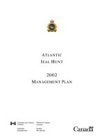 Tài liệu ATLANTIC SEAL HUNT 2002 MANAGEMENT PLAN pptx