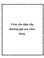 Tài liệu Viêm cầu thận cấp thường gặp sau viêm họng doc