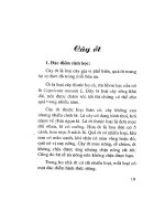 Tài liệu Cây ớt docx