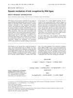 Tài liệu Báo cáo Y học: Dynamic mechanism of nick recognition by DNA ligase ppt